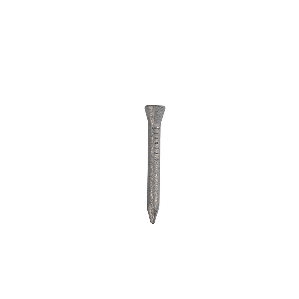 Homebase Galvanised Masonry Nails 25mm - 100g