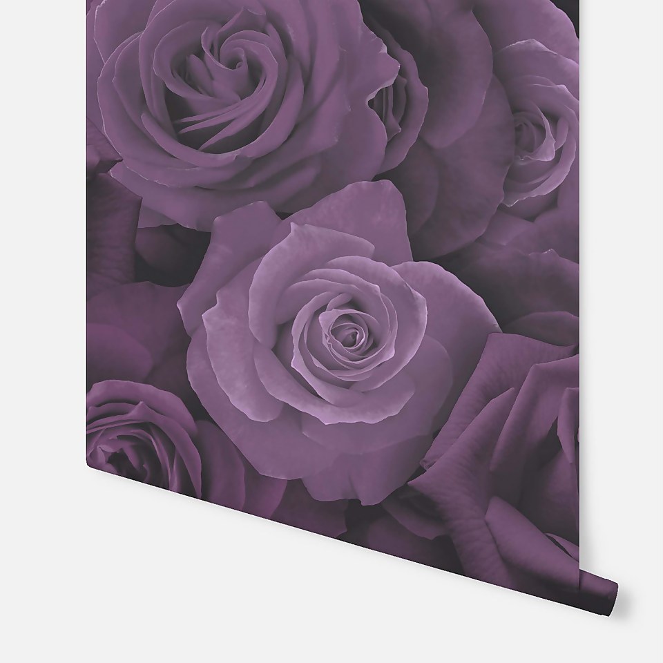 Austin Rose Purple
