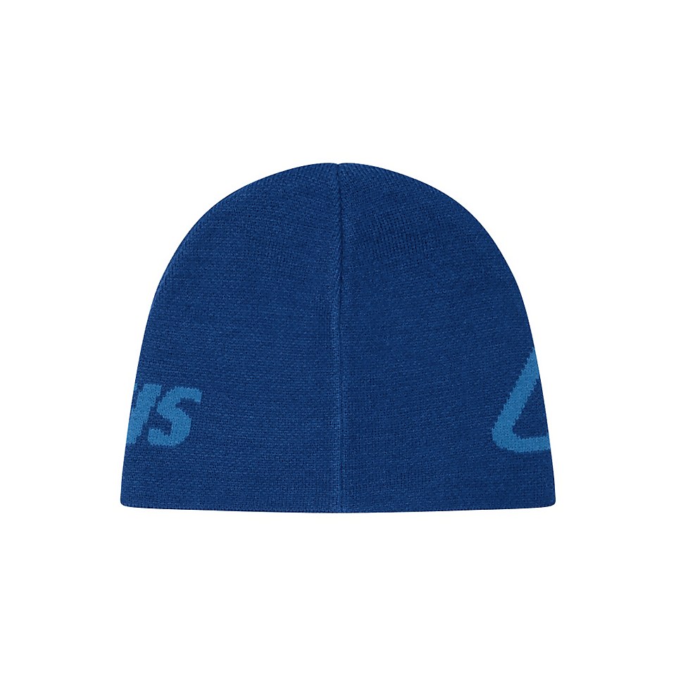 Unisex Berghaus Blocks Beanie - Blue