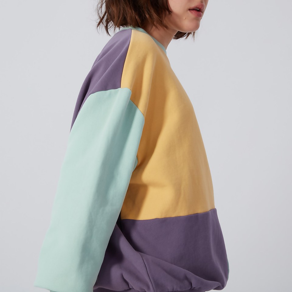 Women's Brushed Back Panelled Sweatshirt Multi