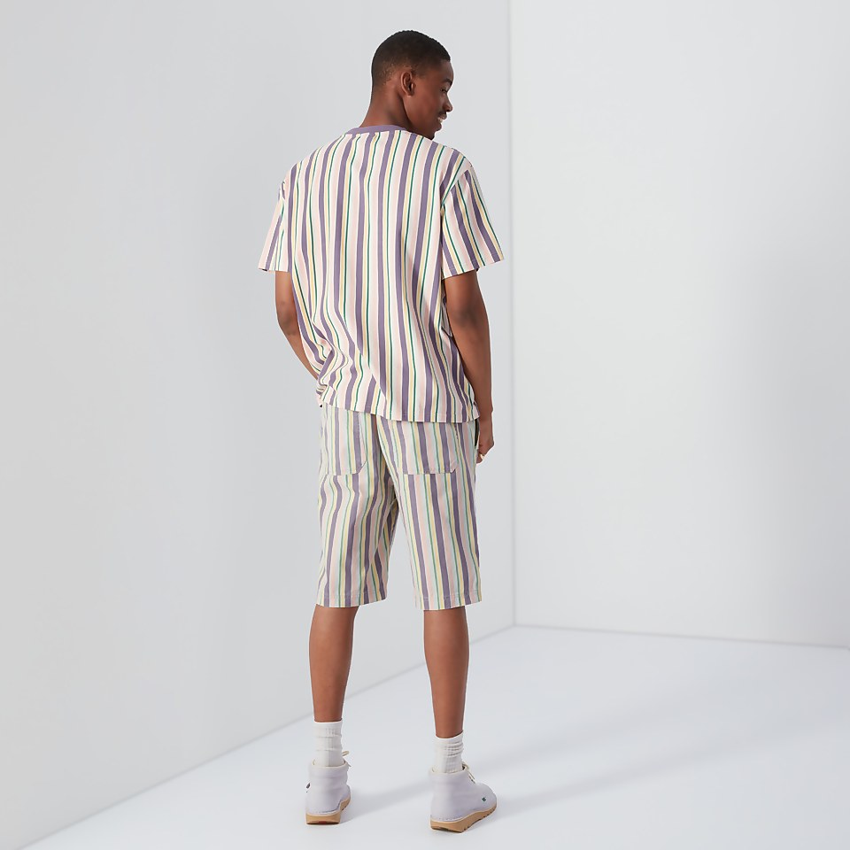 Men's Striped Short Multi