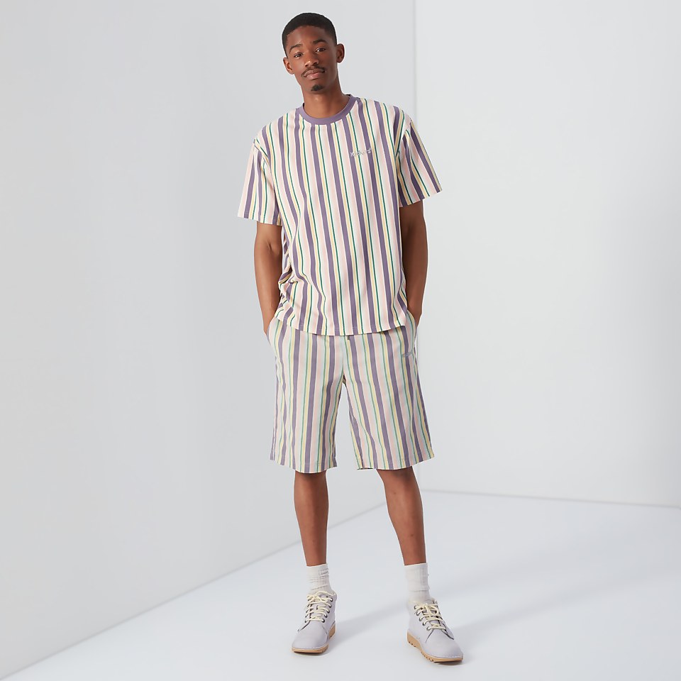 Men's Striped Short Multi