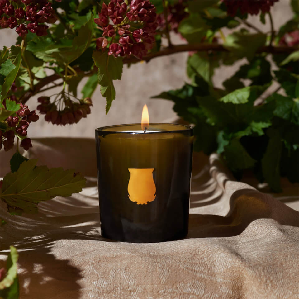 TRUDON Ernesto La Petite Bougie Candle - Leather & Tobacco