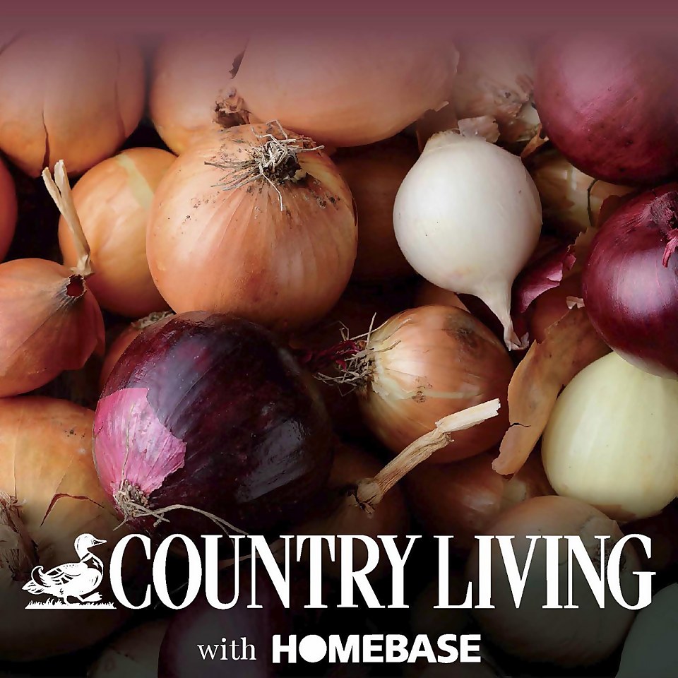 Grow your own Onion Mix