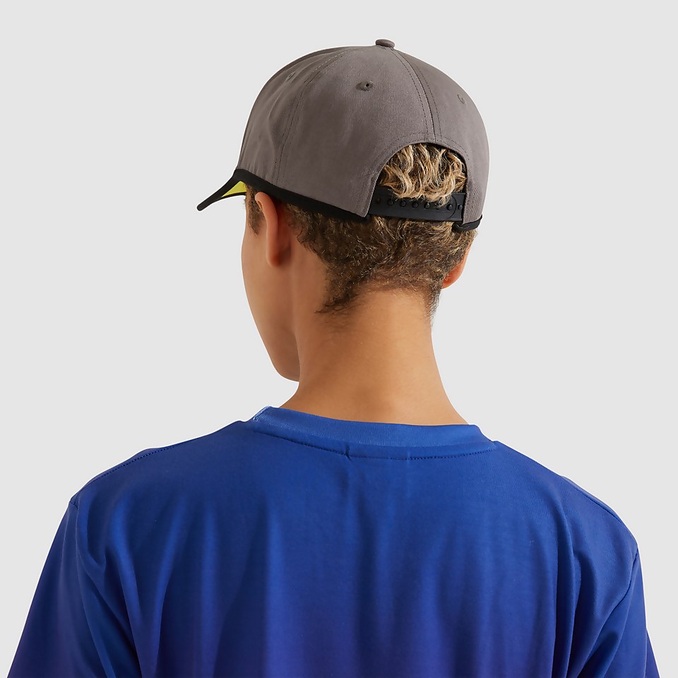 Dalio Cap Grey