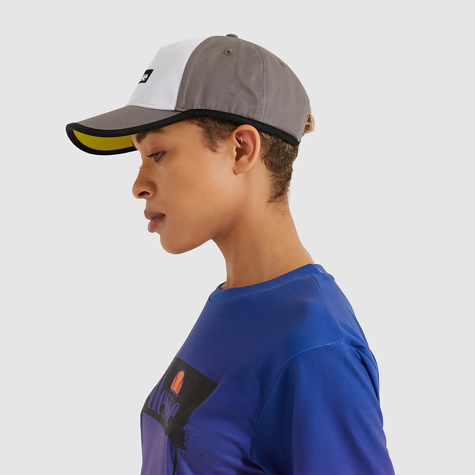 Dalio Cap Grey
