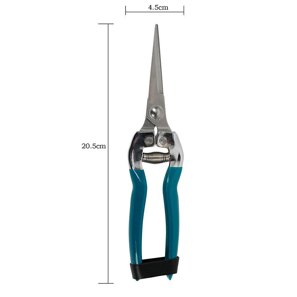 House Beautiful Fine Pointed Flower & Fruit Snips - Teal