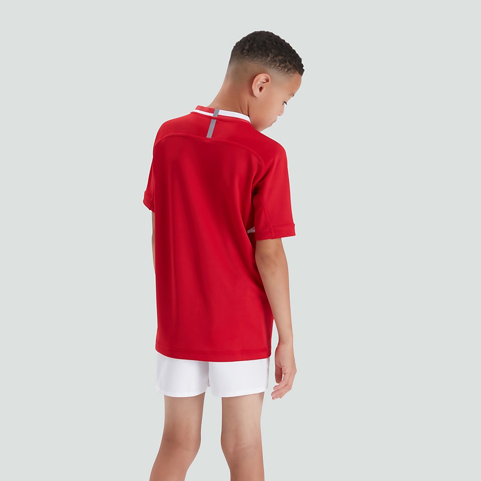 JUNIOR UNISEX VAPODRI EVADER HOOPED JERSEY RED
