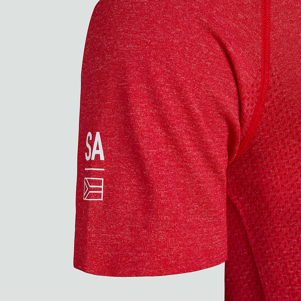 MENS BRITISH & IRISH LIONS SEAMLESS TRAINING TEE RED