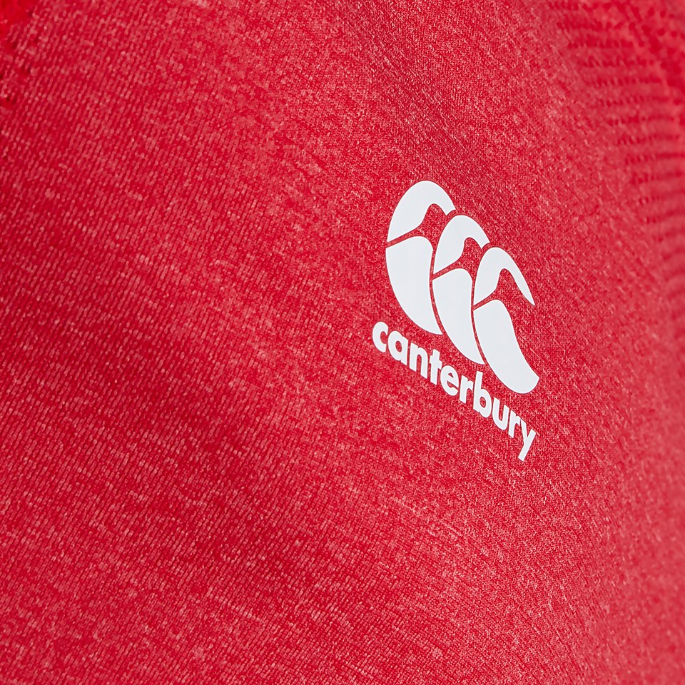 MENS BRITISH & IRISH LIONS SEAMLESS TRAINING TEE RED