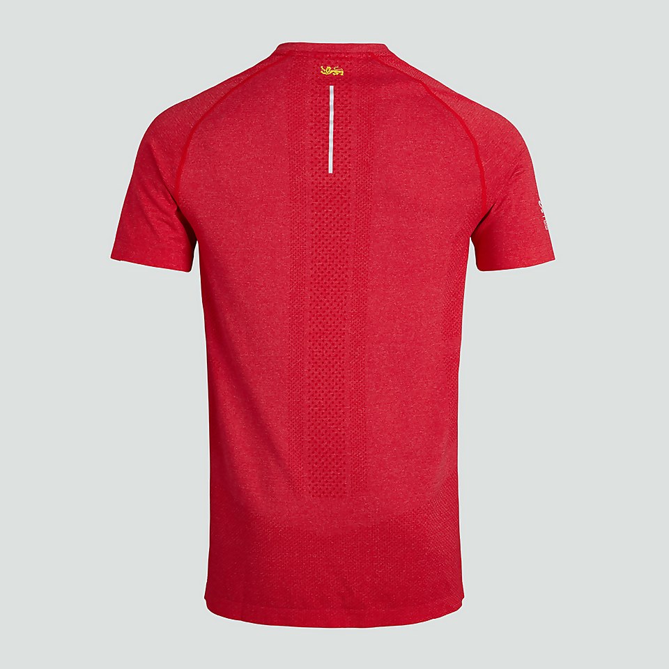 MENS BRITISH & IRISH LIONS SEAMLESS TRAINING TEE RED