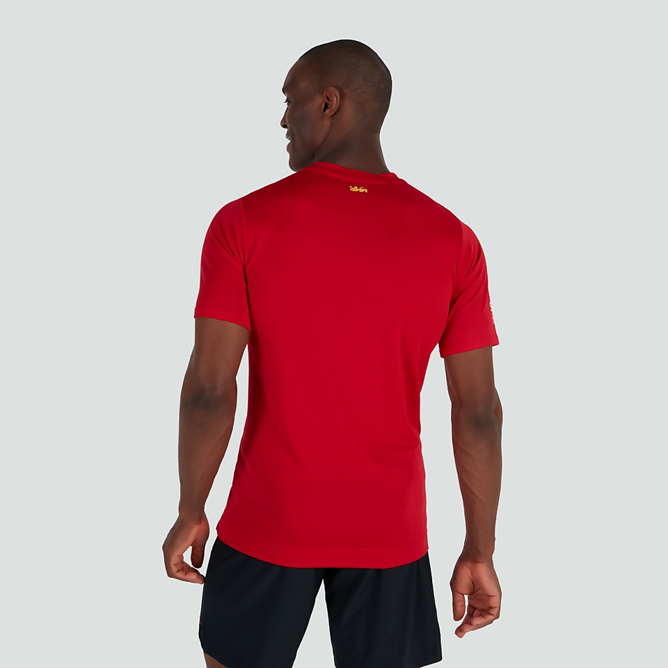 CANTERBURY BIL S.LIGHT GRAPHIC TEE AM RED