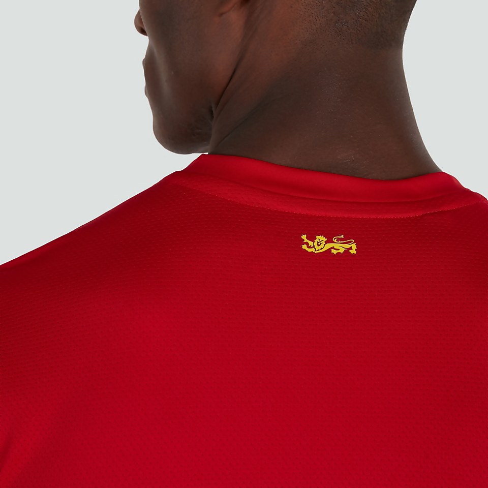 CANTERBURY BIL S.LIGHT GRAPHIC TEE AM RED