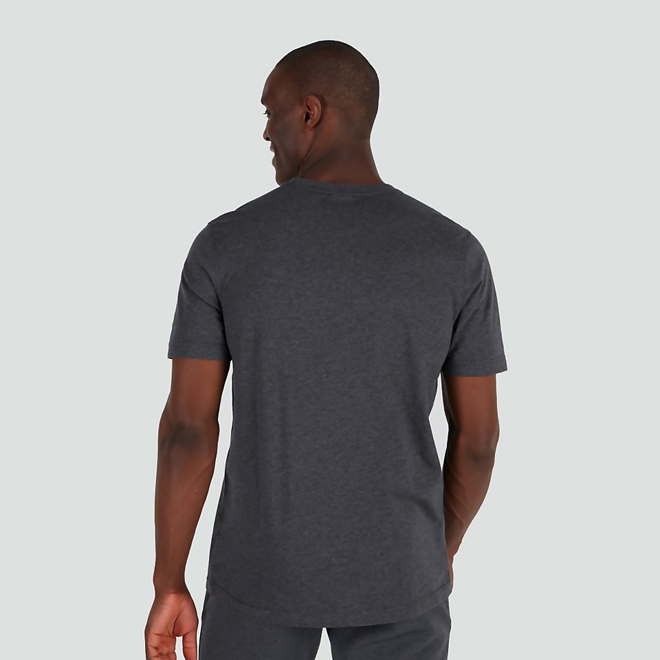 MENS BRITISH & IRISH LIONS COTTON JERSEY TEE GREY