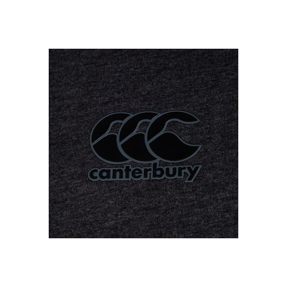 MENS BRITISH & IRISH LIONS COTTON JERSEY TEE GREY