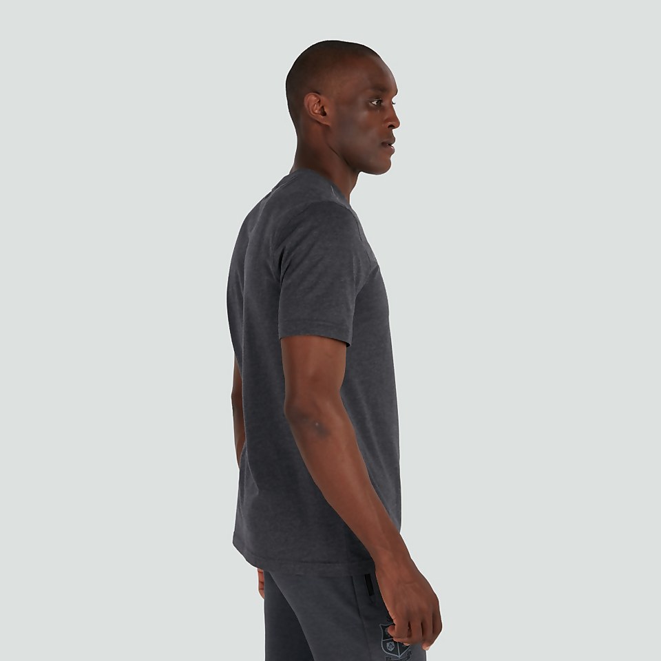 MENS BRITISH & IRISH LIONS COTTON JERSEY TEE GREY