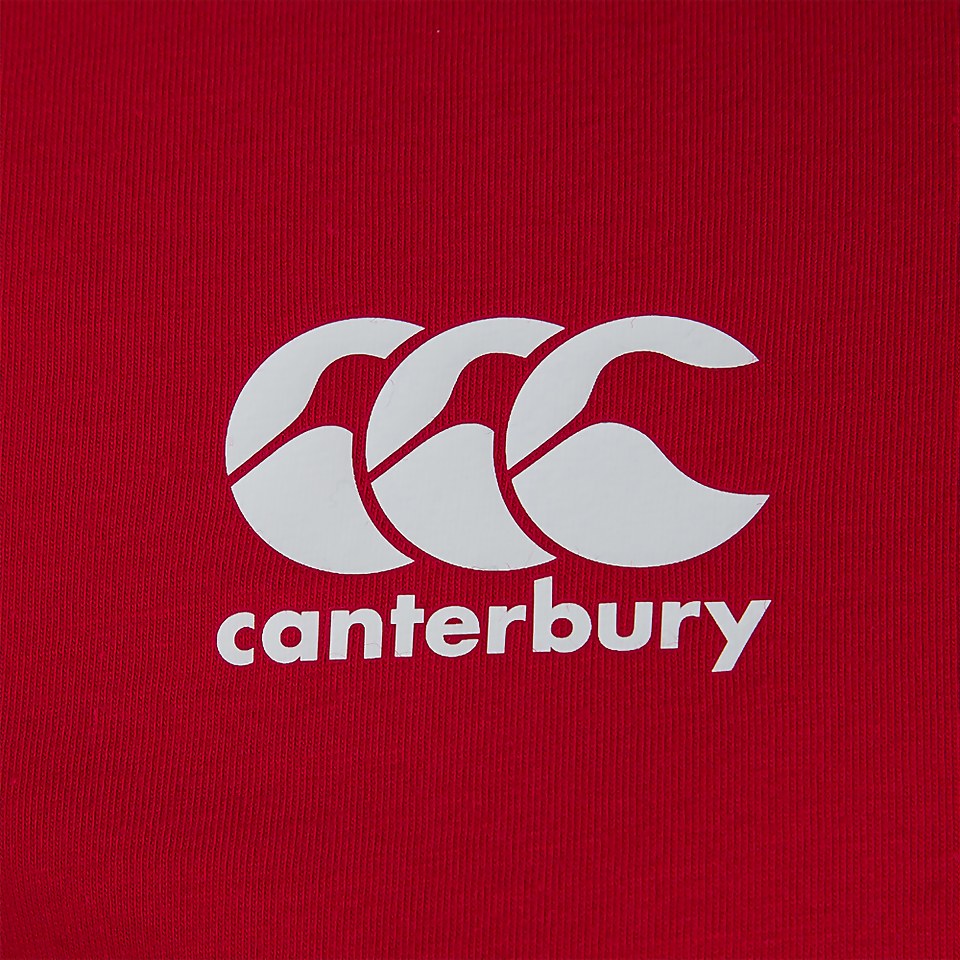 MENS BRITISH & IRISH LIONS COTTON JERSEY TEE RED