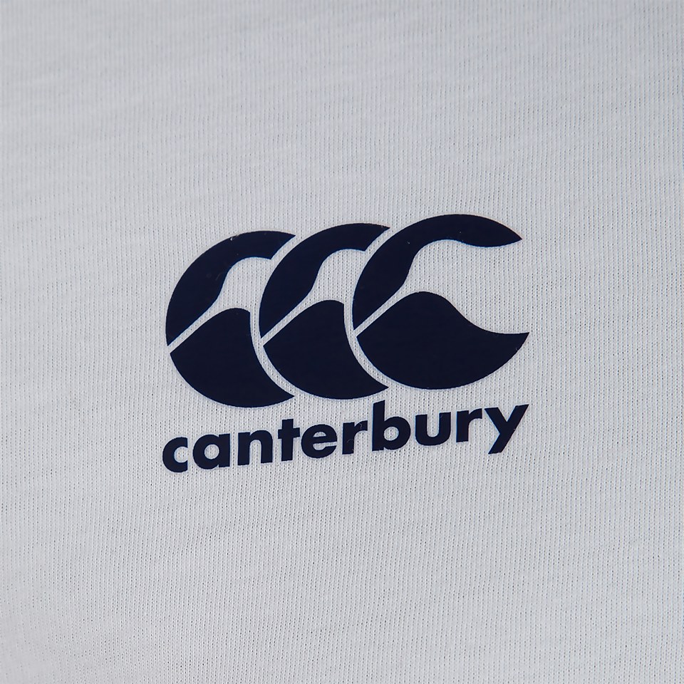 MENS BRITISH & IRISH LIONS COTTON JERSEY TEE WHITE