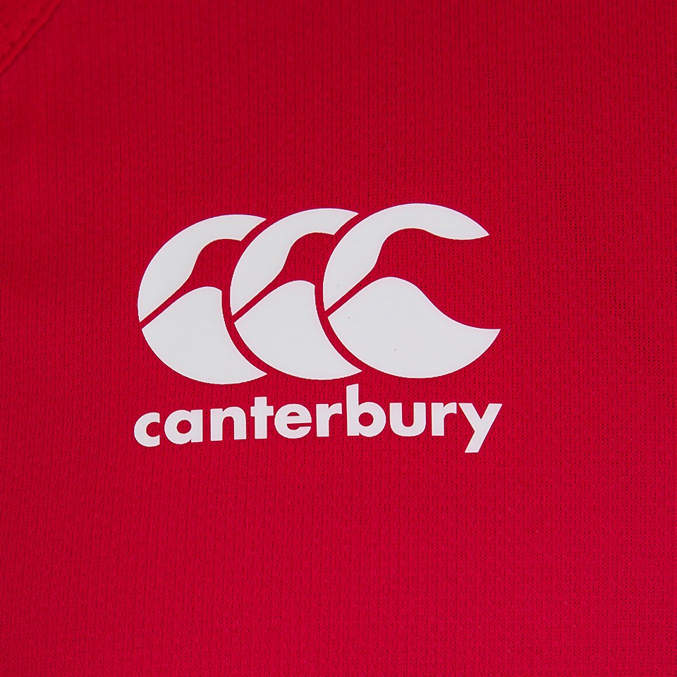 MENS BRITISH & IRISH LIONS POLY SINGLET RED