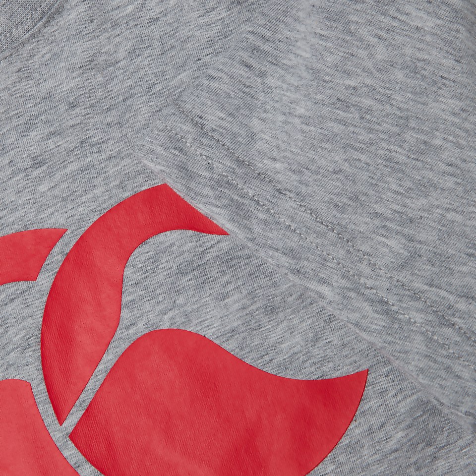 JUNIOR UNISEX CCC LOGO TEE GREY