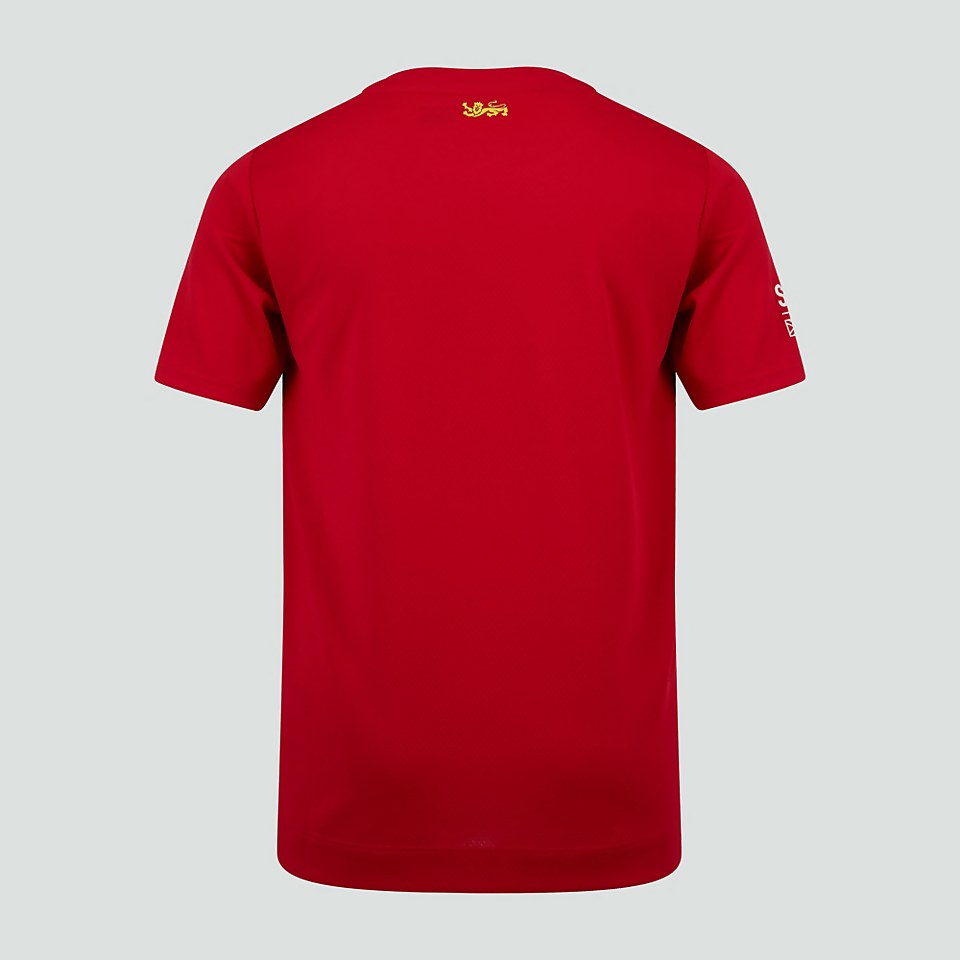 JUNIOR UNISEX BRITISH & IRISH LIONS SUPERLIGHT GRAPHIC TEE RED