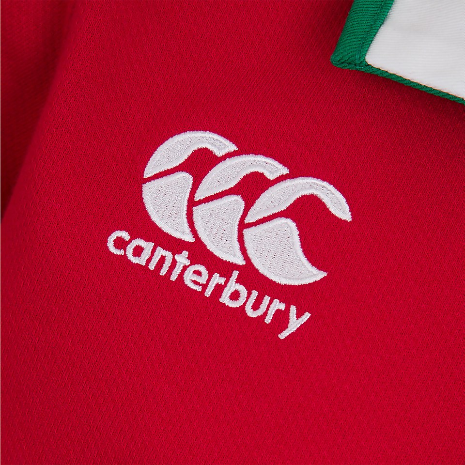 JUNIOR UNISEX BRITISH & IRISH LIONS SHORT SLEEVED CLASSIC JERSEY RED