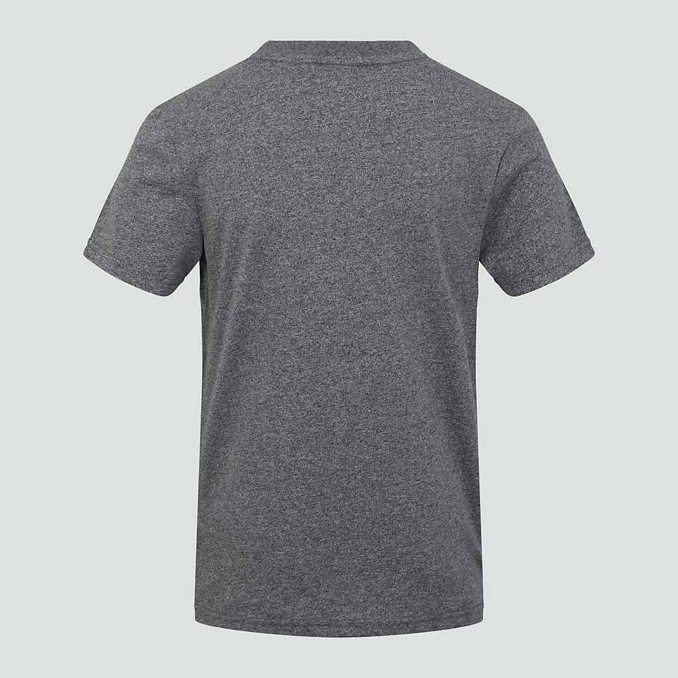 MENS CCC UGLIES TEE GREY