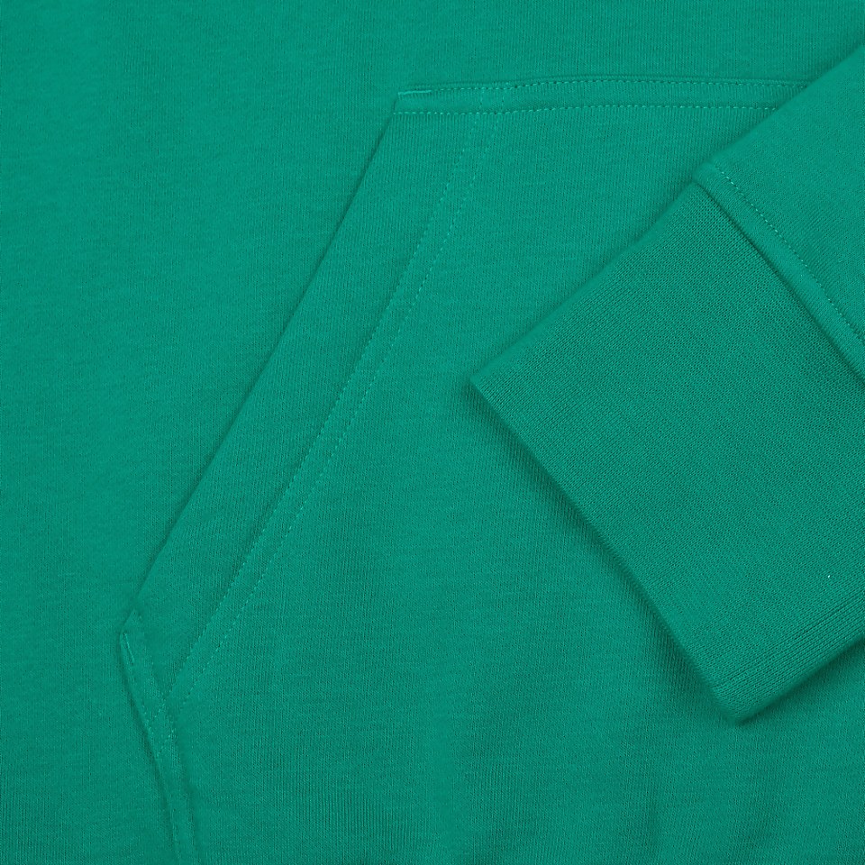 MENS IRELAND LOGO HOODY GREEN
