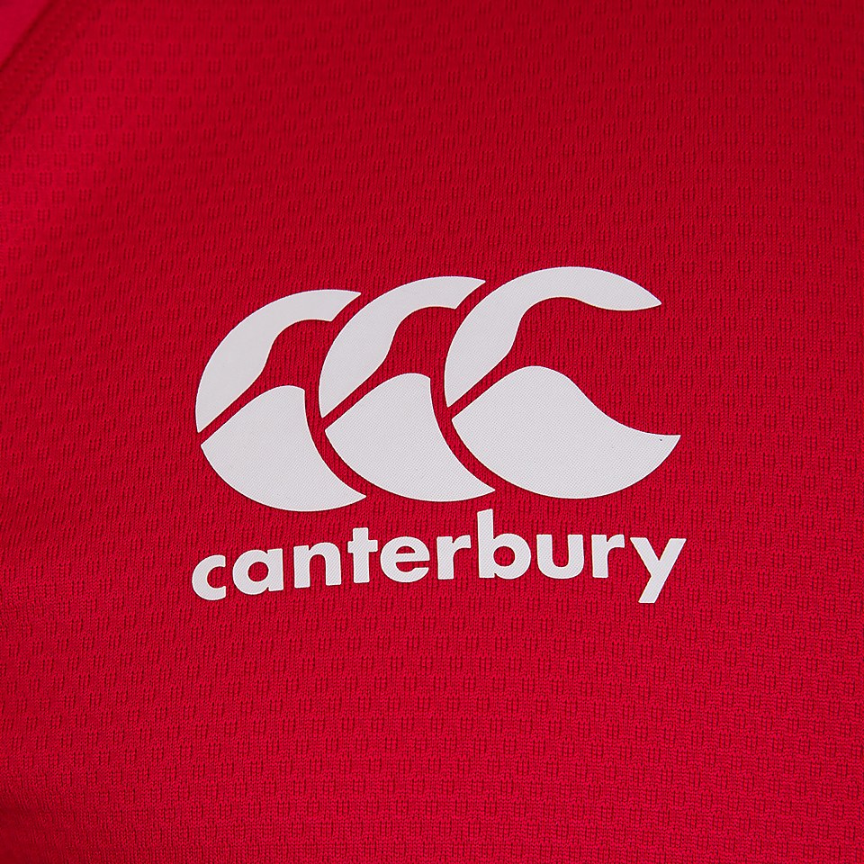MENS BRITISH & IRISH LIONS TEST JERSEY RED