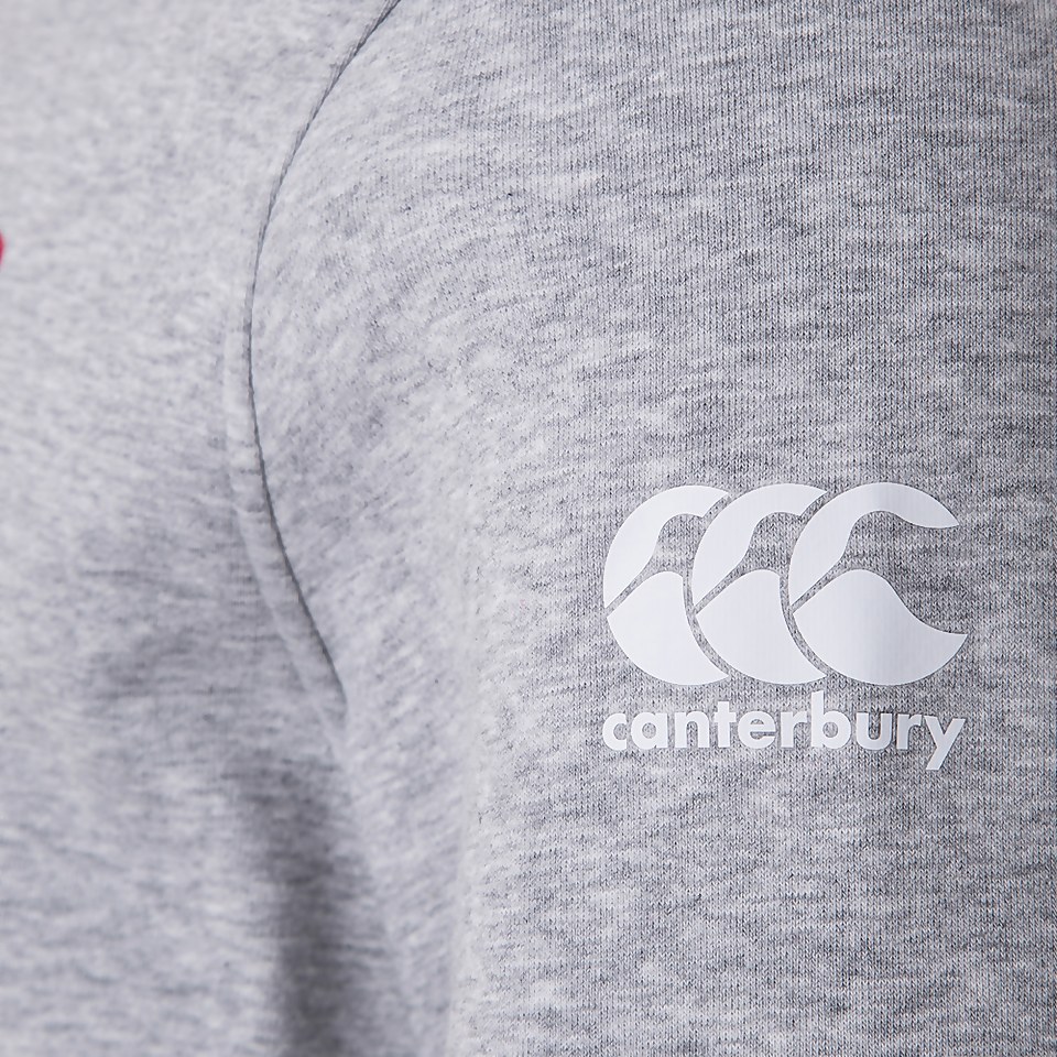 MENS BRITISH & IRISH LIONS GRAPHIC HOODY GREY