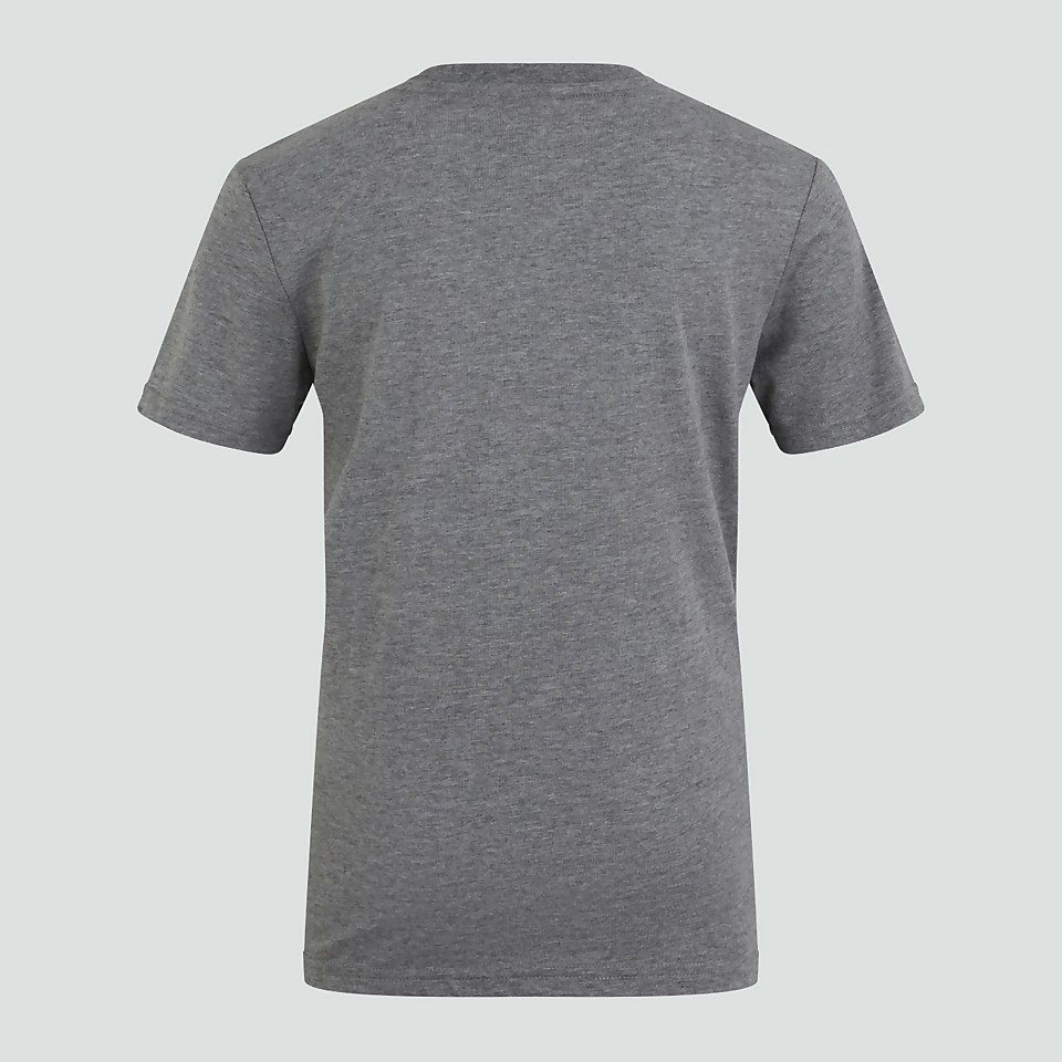 JUNIOR BOYS CCC UGLIES TEE GREY