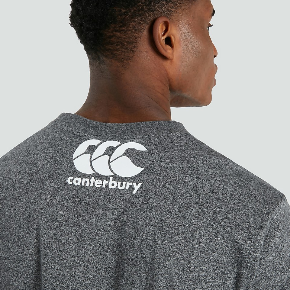 MENS IRELAND TRIBES TEE GREY