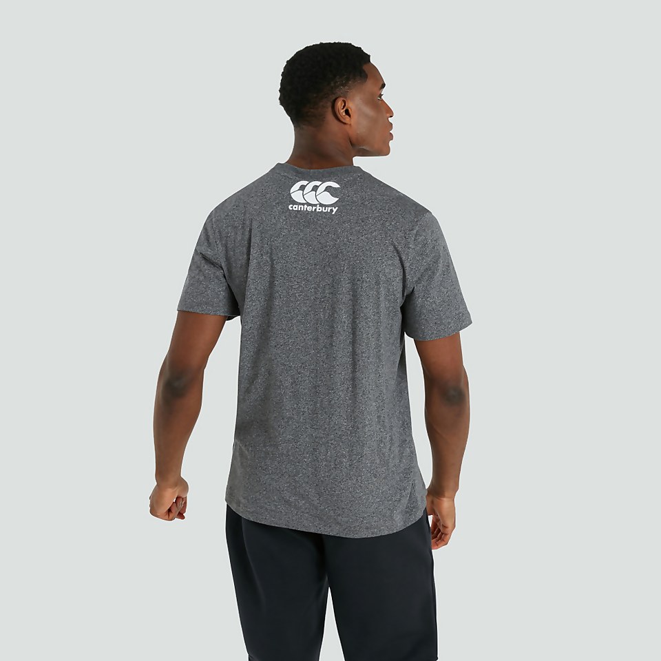 MENS IRELAND TRIBES TEE GREY