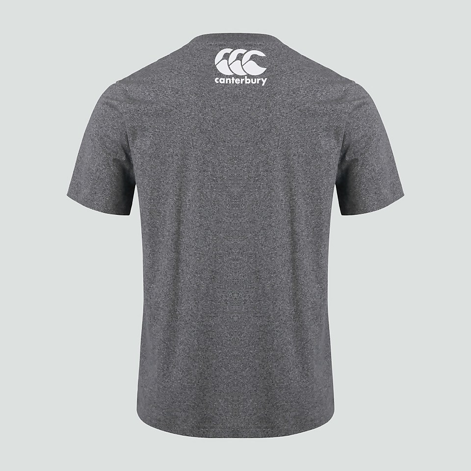 MENS IRELAND TRIBES TEE GREY