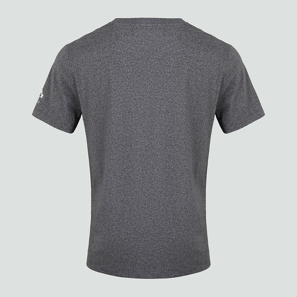 MENS IRELAND COTTON LOGO TEE GREY