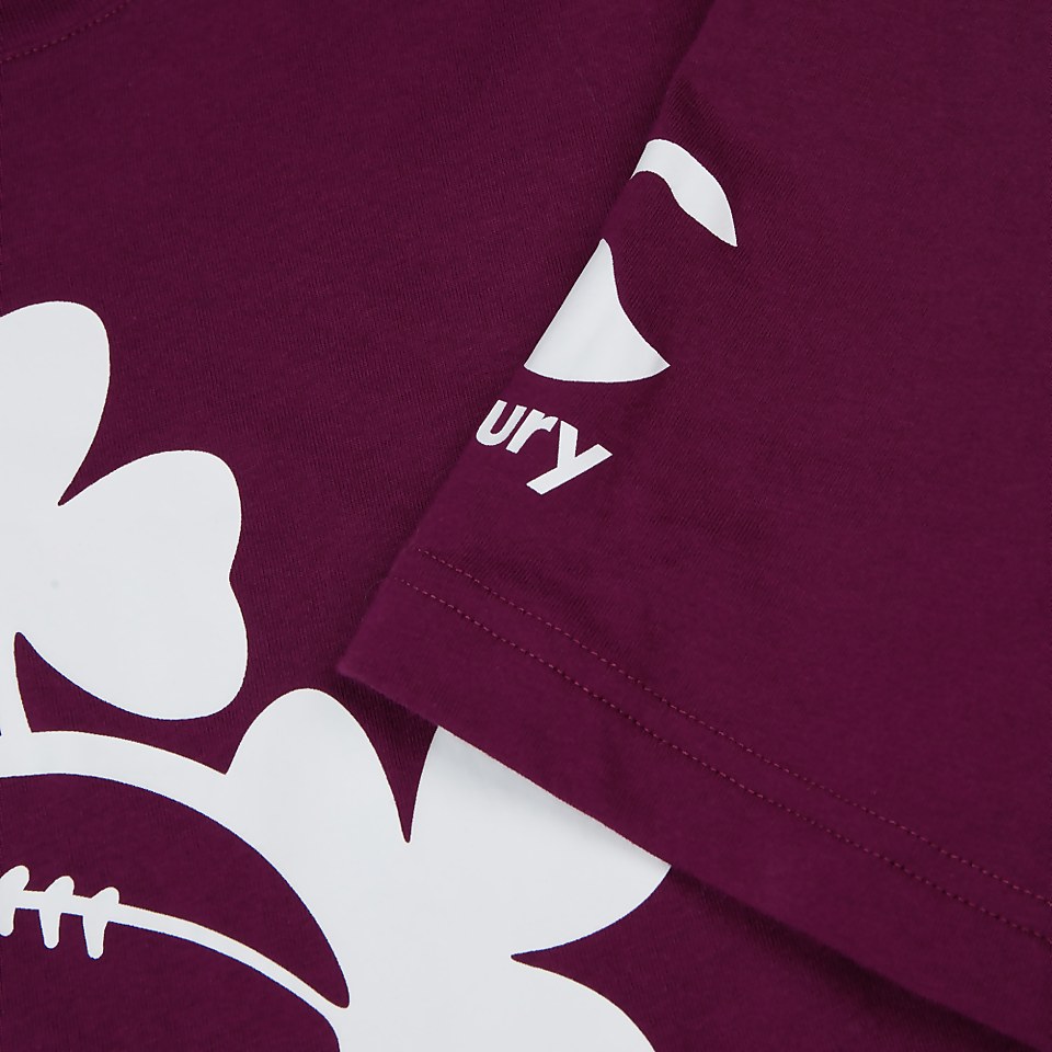 MENS IRELAND CREST LOGO TEE PURPLE