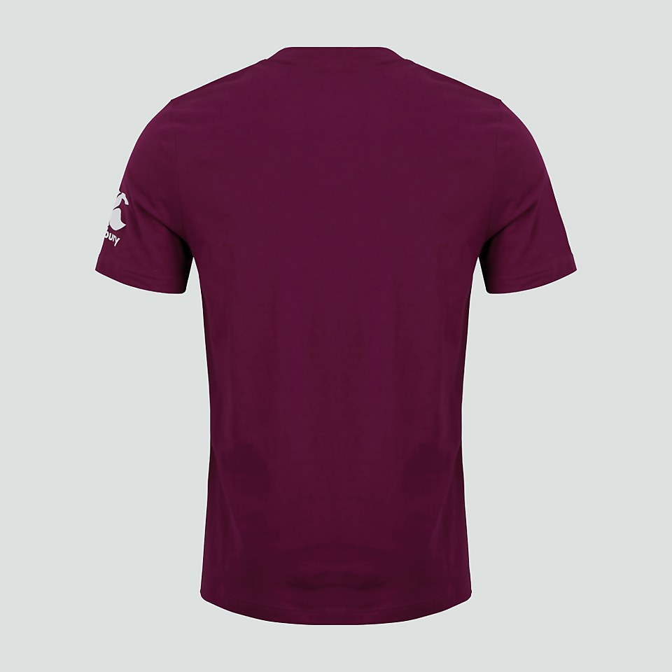 MENS IRELAND CREST LOGO TEE PURPLE