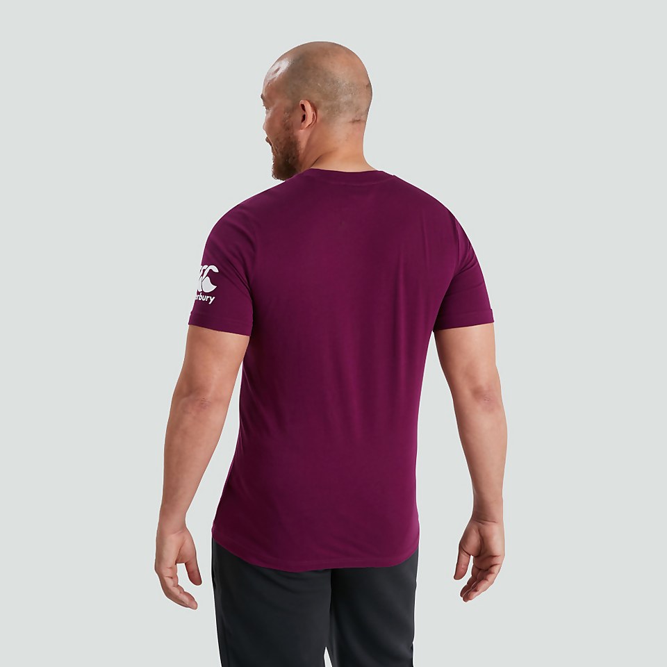 MENS IRELAND CREST LOGO TEE PURPLE