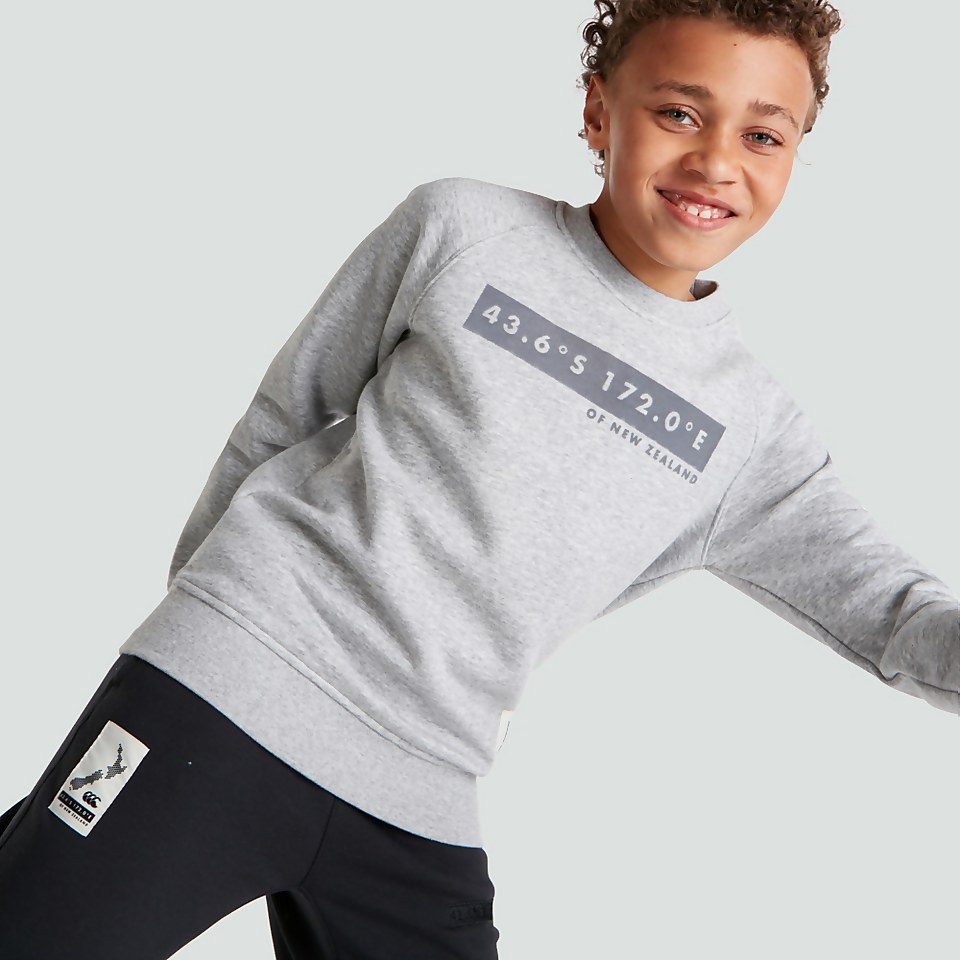 JUNIOR UNISEX SWEATSHIRT GREY