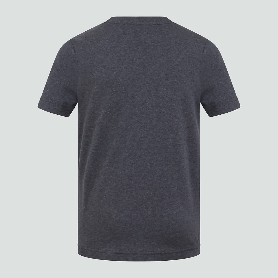 JUNIOR UNISEX ORGANIC COTTON TEE GREY