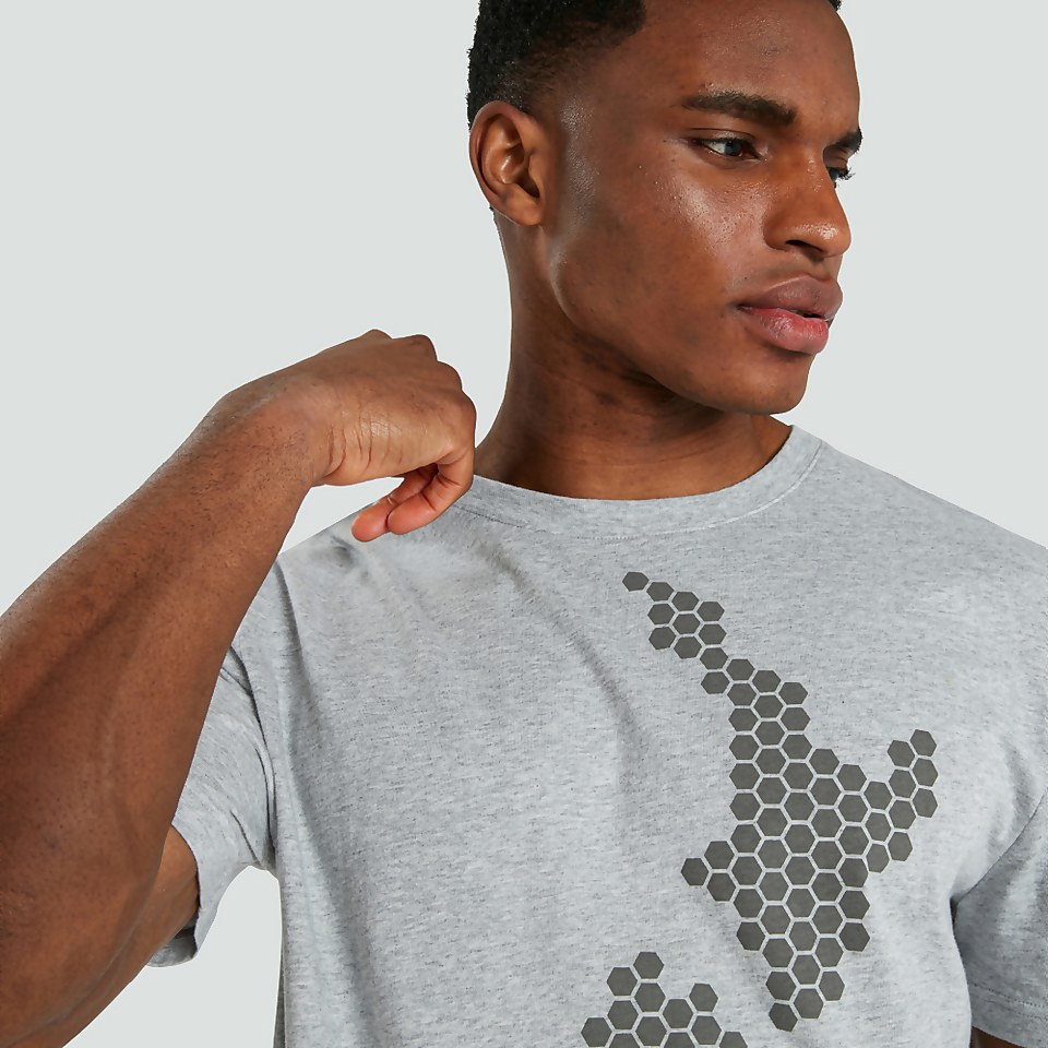 MENS ORGANIC COTTON TEE GREY