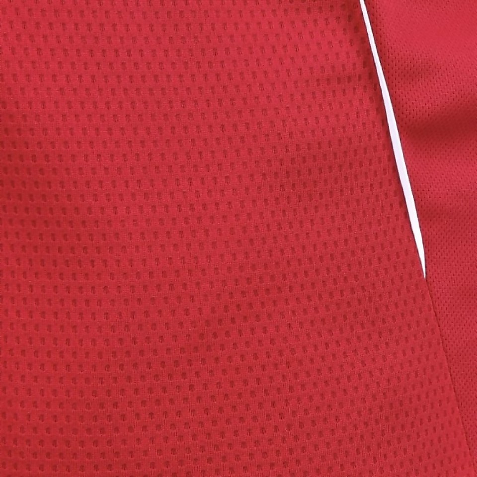 MENS TEAM DRY POLO SHIRT RED/WHITE