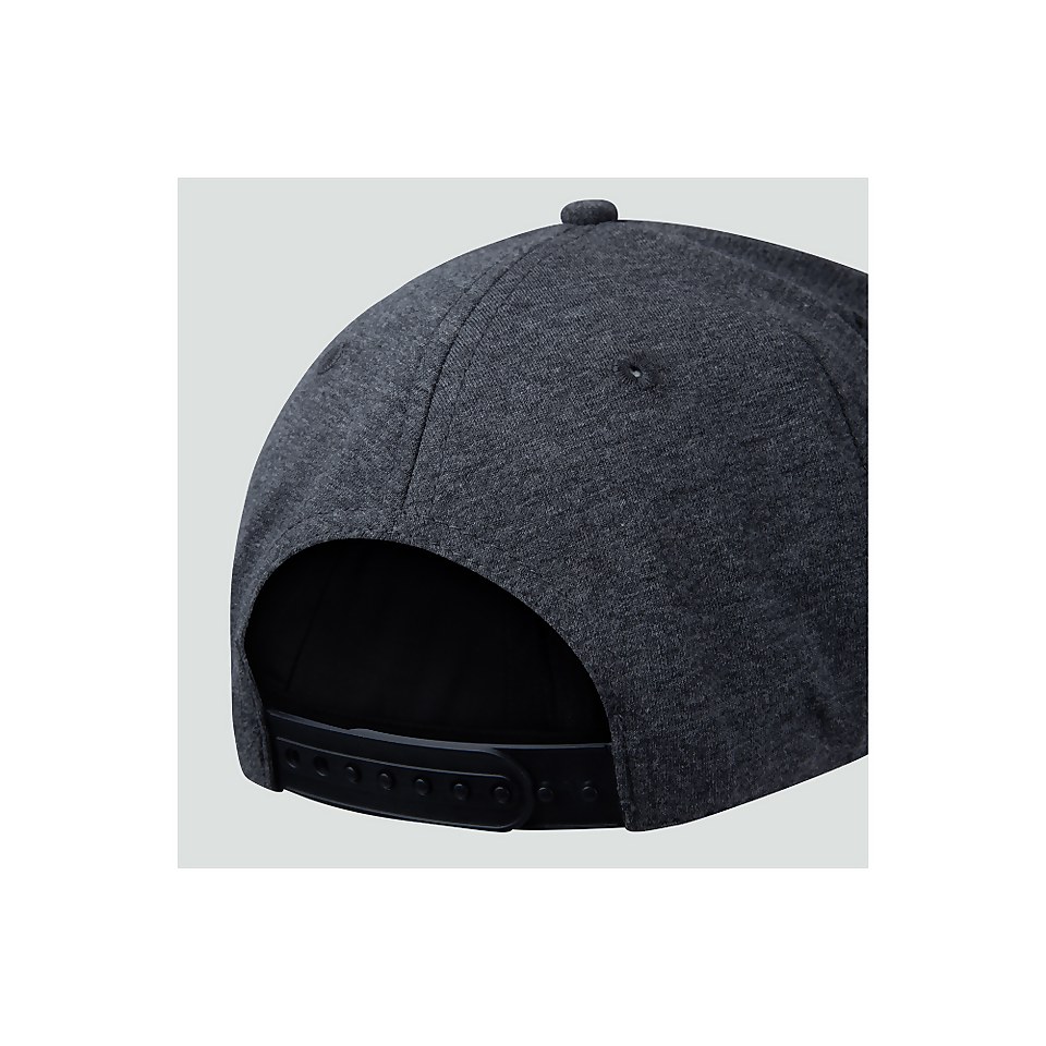 ADULTS UNISEX BRITISH & IRISH LIONS SNAPBACK CAP GREY