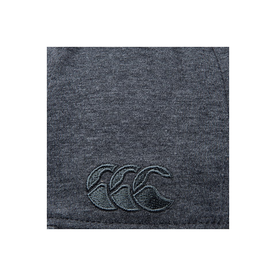 ADULTS UNISEX BRITISH & IRISH LIONS SNAPBACK CAP GREY