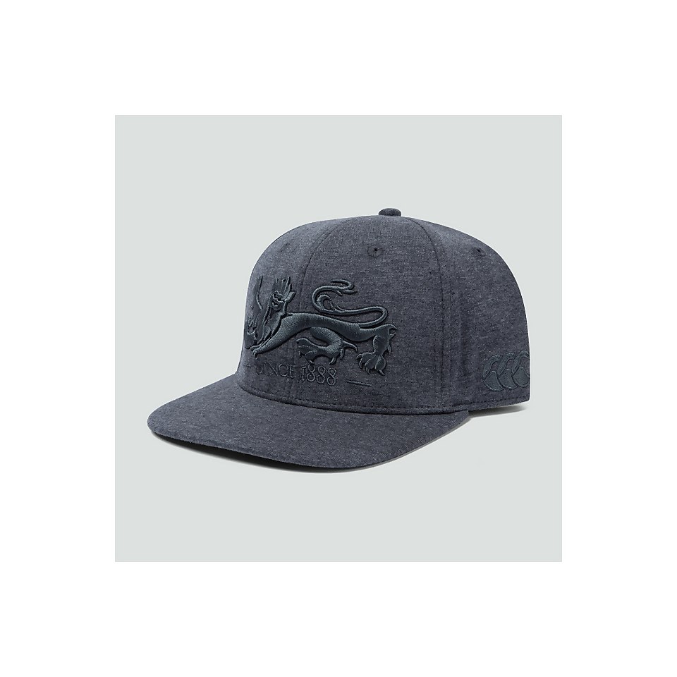 ADULTS UNISEX BRITISH & IRISH LIONS SNAPBACK CAP GREY
