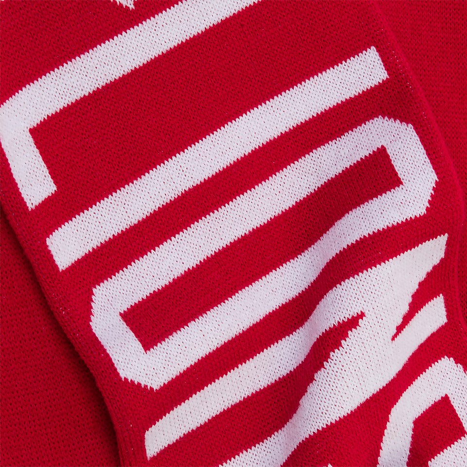 ADULTS UNISEX BRITISH & IRISH LIONS SCARF RED