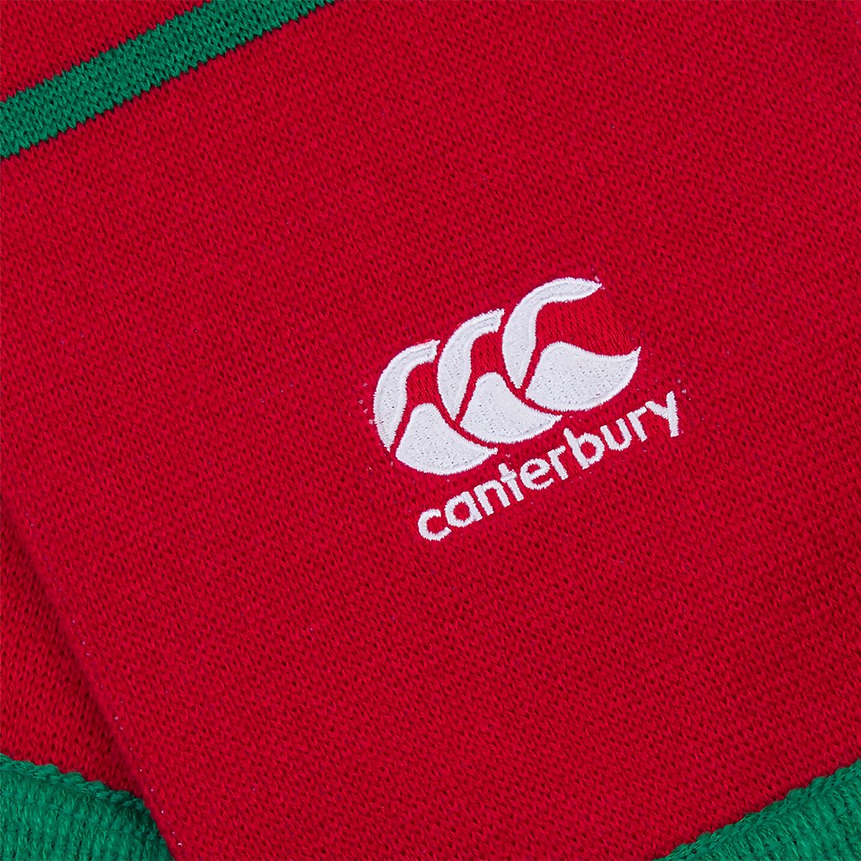 ADULTS UNISEX BRITISH & IRISH LIONS SCARF RED