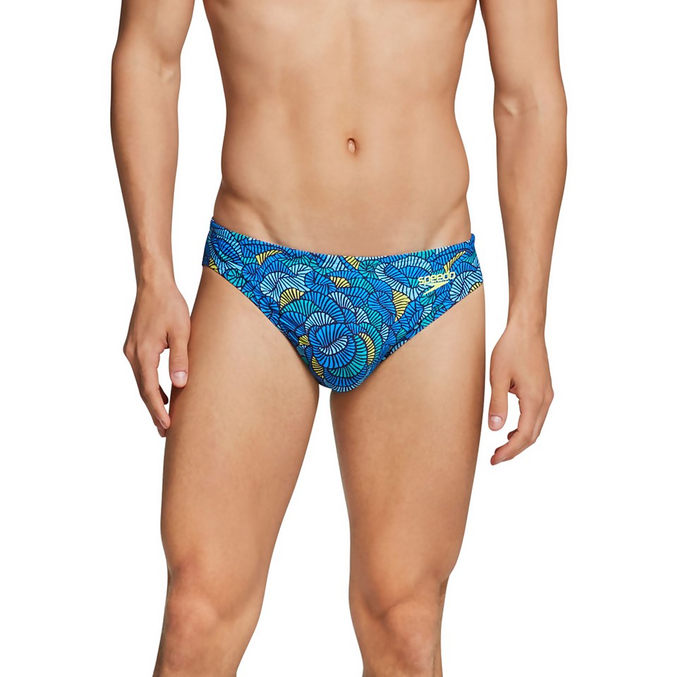 Printed Solar Brief 1"