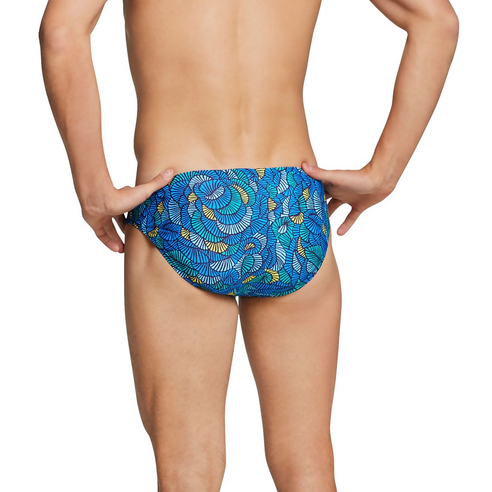Printed Solar Brief 1"
