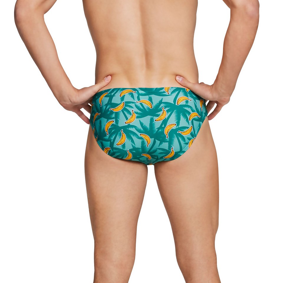 Printed Solar Brief 1"